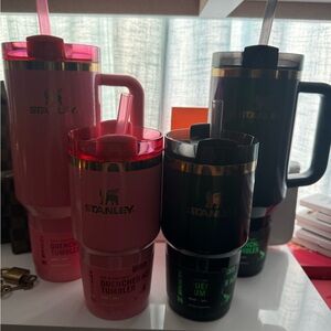 Wicked Stanley Set! All Four! 💋 Pink and Green!